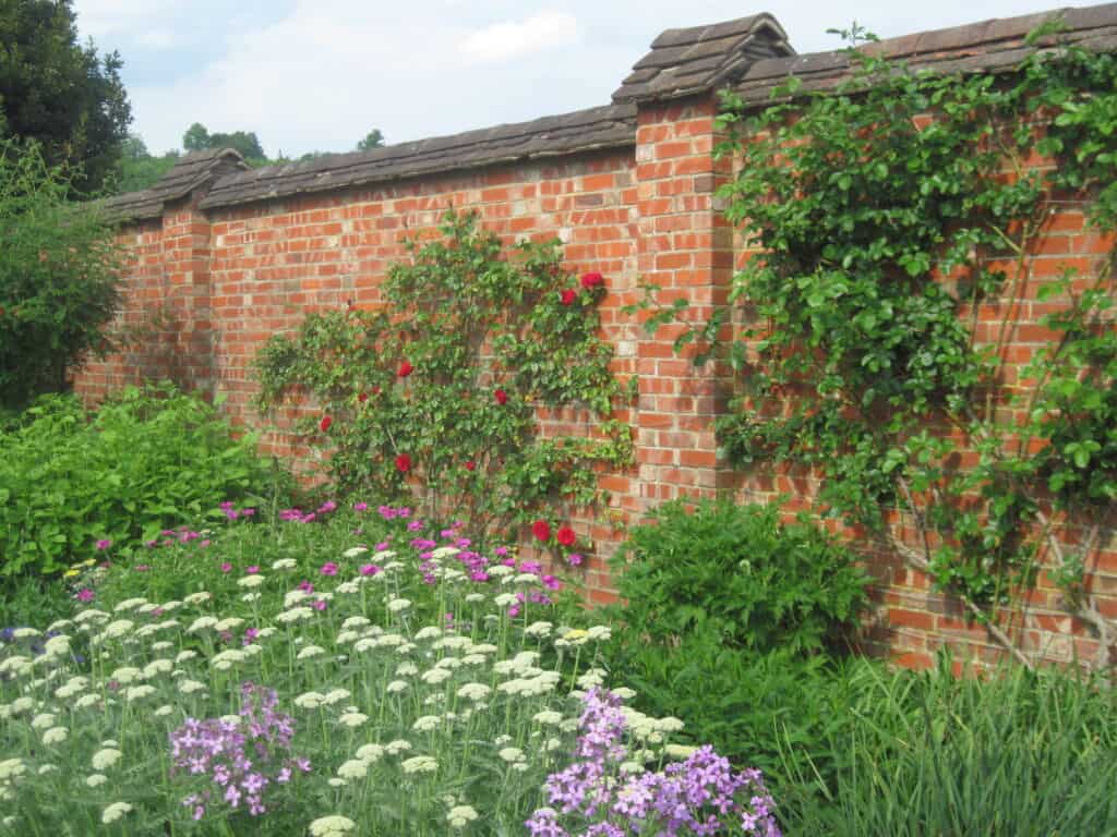 reclaimed A garden wall using roof tiles to cap the wall